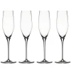 Authentis champagneglas 19 cl, 4 stuks, transparant