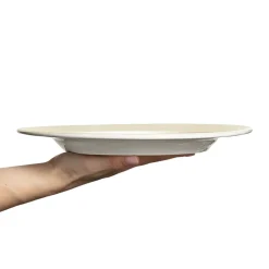 Basic bord, 28 cm, Zand