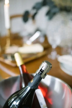Bourdeaux wijn- en champage-afsluiter, Roestvrij staal