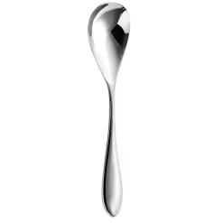 Bourton Bright dessertlepel, Roestvrij staal