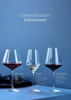 Connoisseur Extravagant wittewijnglas 40,5 cl 4-pack, Clear