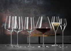 Definition champagneglas 25 cl 2-pack, Transparant