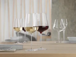 Definition rodewijnglas/wittewijnglas 55 cl 2-pack, Transparant