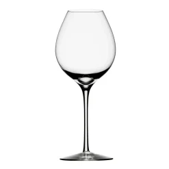Difference fruit wijnglas, 45 cl