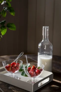 Ernst schaal bubbelglas 2-pack, Helder