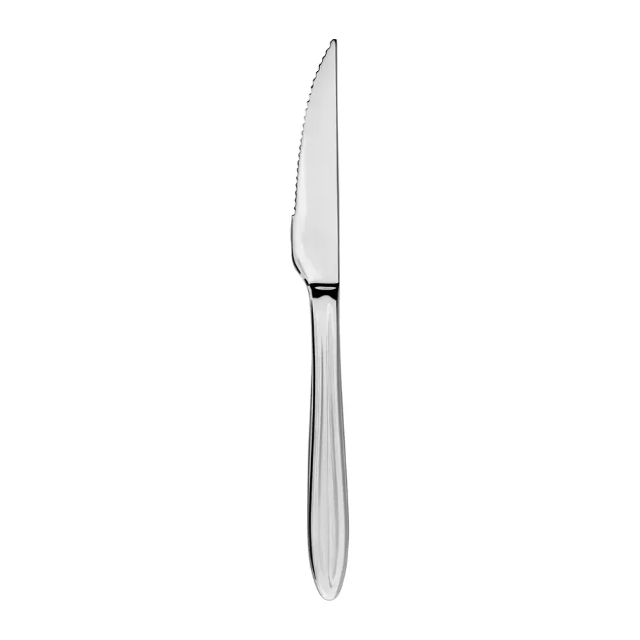 Gastro steakmes, Roestvrij staal