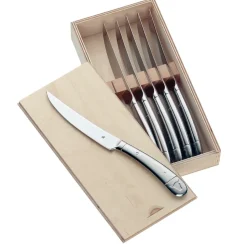 Geschenkidee steakmes 6-delig, Roestvrij staal