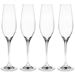 Karlevi champagneglas 4 stuks, 21 cl