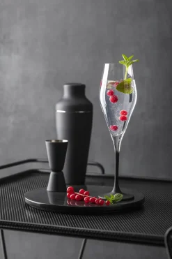 Manufacture Rock champagneglas 26 cl 4-pack, Transparant-zwart
