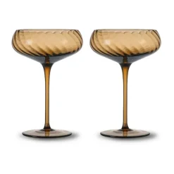 Opacity champagnecoupe 30 cl 2-pack, Bruin