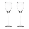Opacity champagneglas 16 cl 2-pack, Helder