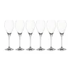 Party champagneglas 16 cl, 6-pack