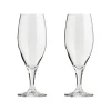 Passion connoisseur bierglas 40 cl 2-pack, Clear