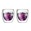 Pavina dubbelwandig glas 2-pack, 25 cl