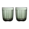 Raami drinkglas 26 cl 2-pack, Dennengroen