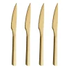 Raw steakmessenset 4-pack, Goud