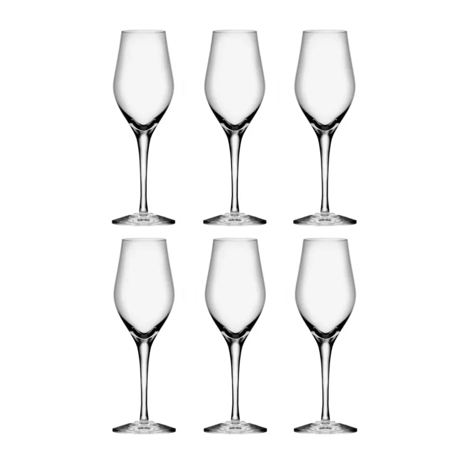 Sense champagneglas 25,5 cl 6-pack, Transparant