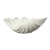 Shell schaal, 16 x 23 cm