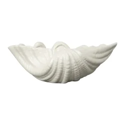 Shell schaal, 16 x 23 cm