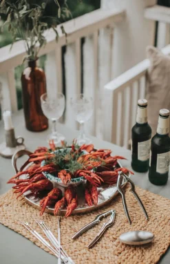 Skagen schaaldierenset 9-delig, Roestvrij staal