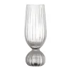 Taurin champagneglas 25 cl, Helder