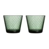 Tundra drinkglas 29 cl 2-pack, Dennengroen