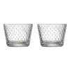 Tundra drinkglas 16 cl 2-pack, Transparant